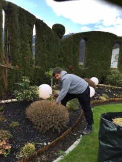 Lori, mobiler Hausmeister, Garten, Gartenpflege, Hecken schneiden, Sträucher schneiden, Nüziders, Vorarlberg